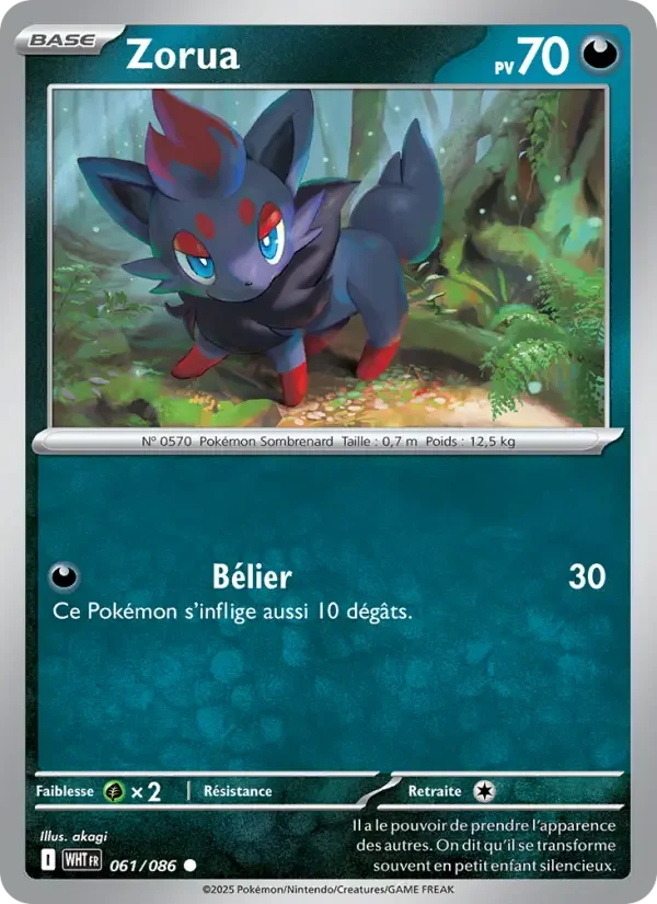 Carte Zorua