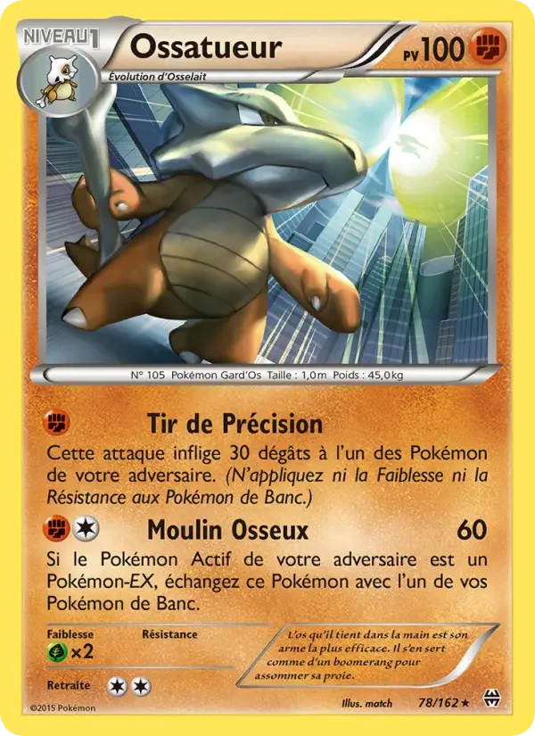 Carte Ossatueur