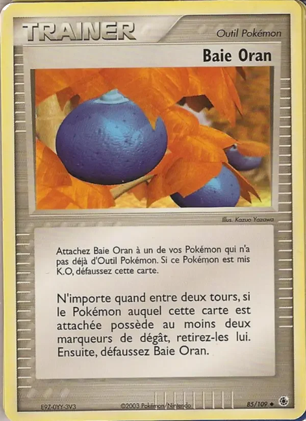 Carte Baie Oran