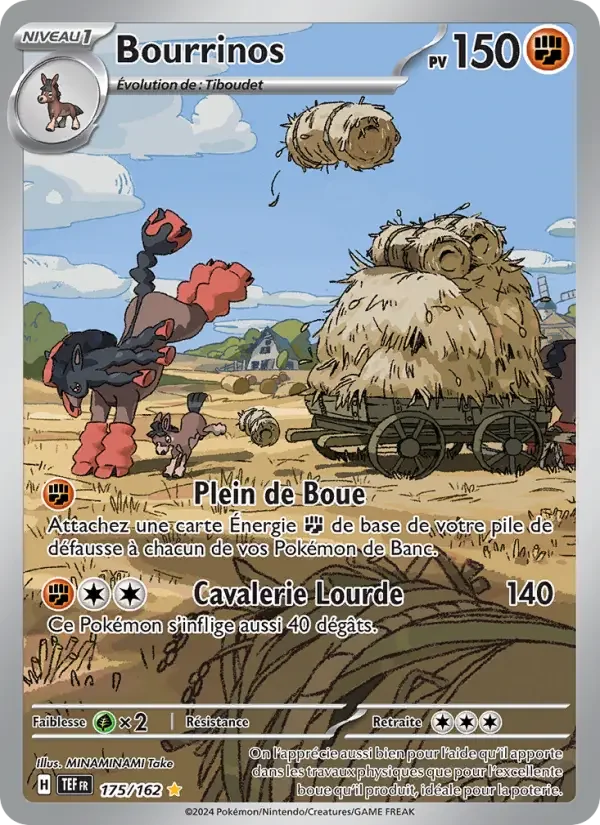 Carte Bourrinos