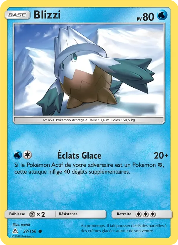 Carte Blizzi