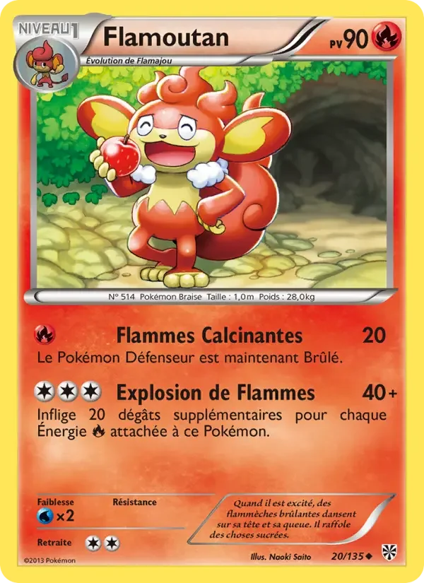 Carte Flamoutan