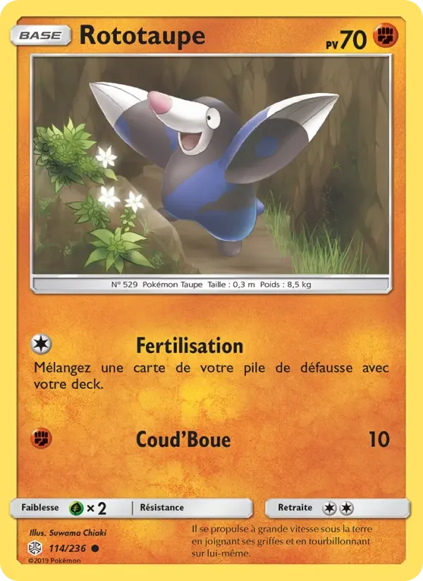 Carte Pokémon Rototaupe — Éclipse Cosmique