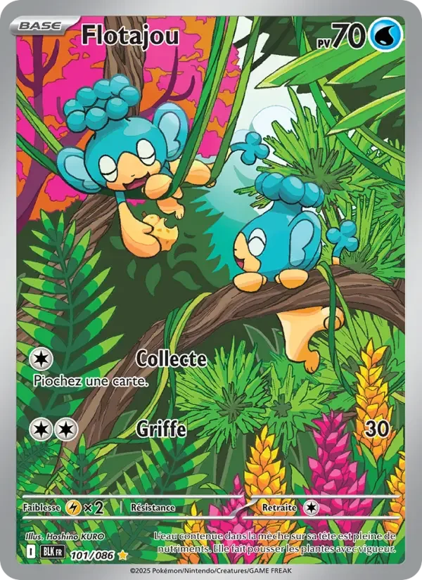 Carte Flotajou