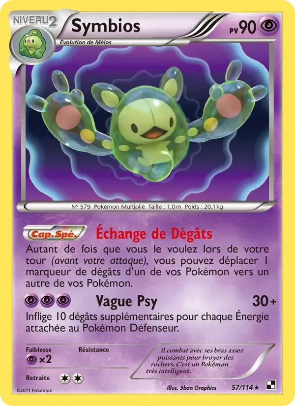 Carte Symbios