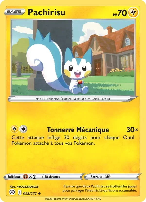 Carte Pachirisu
