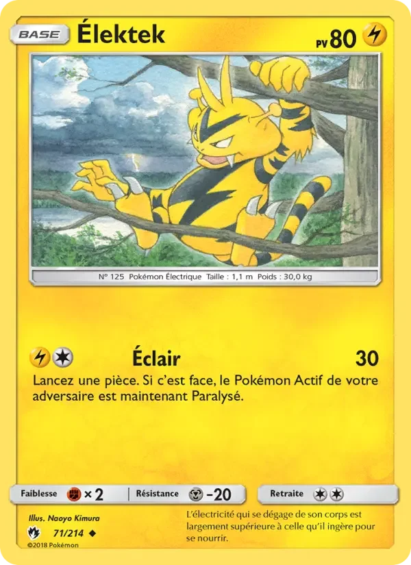 Carte Pokémon Élektek — Tonnerre Perdu