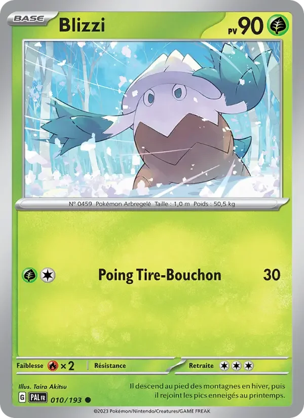 Carte Blizzi