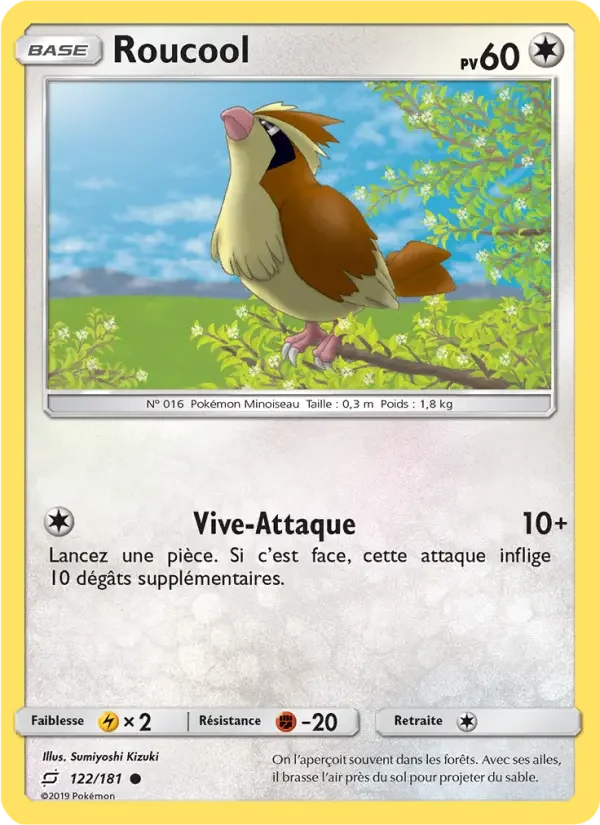 Carte Pokémon Roucool — Duo de Choc