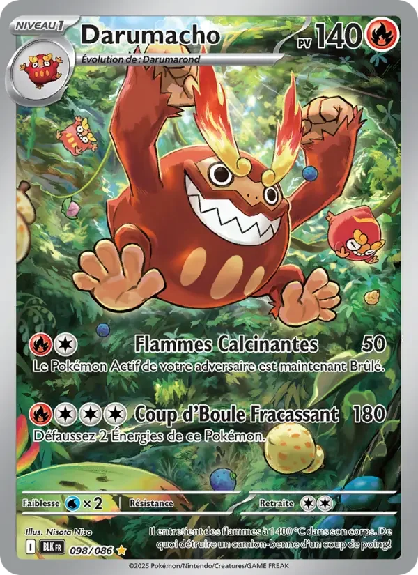 Carte Darumacho