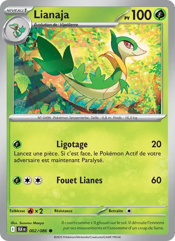 Carte Lianaja