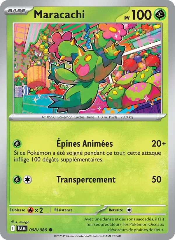 Carte Maracachi