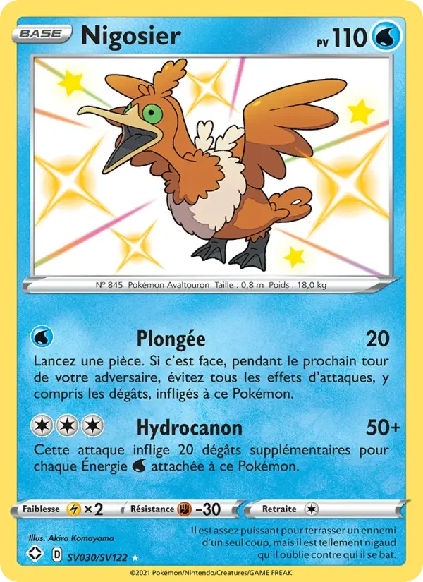 Carte Nigosier