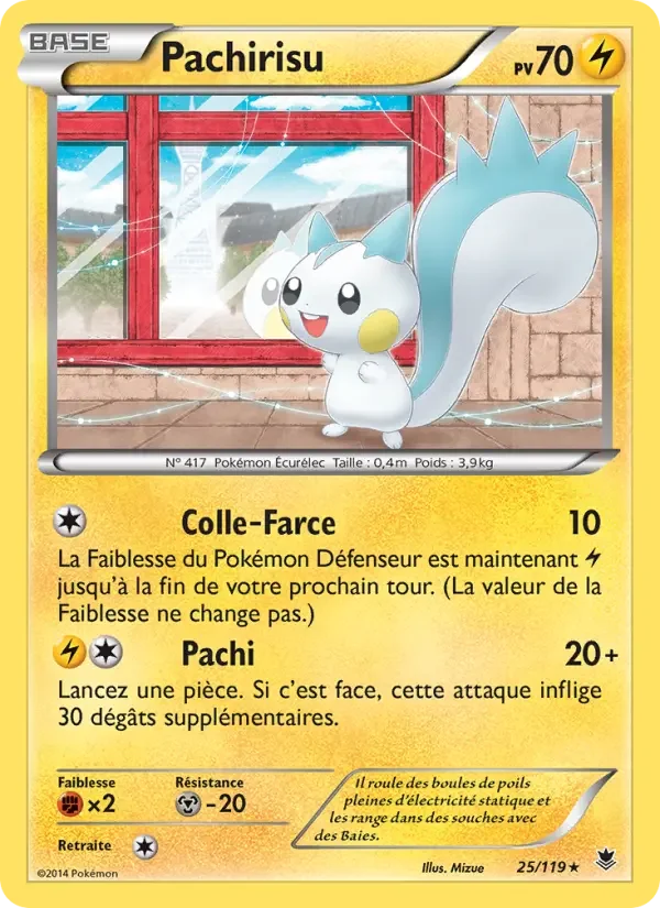 Carte Pachirisu