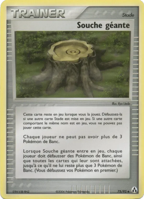 Carte Souche géante