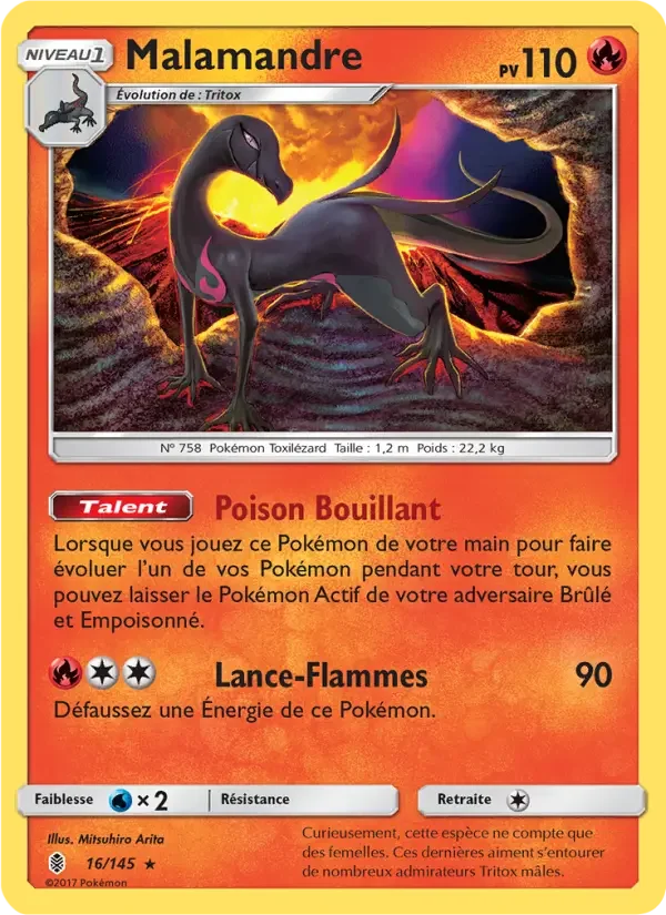 Carte Malamandre