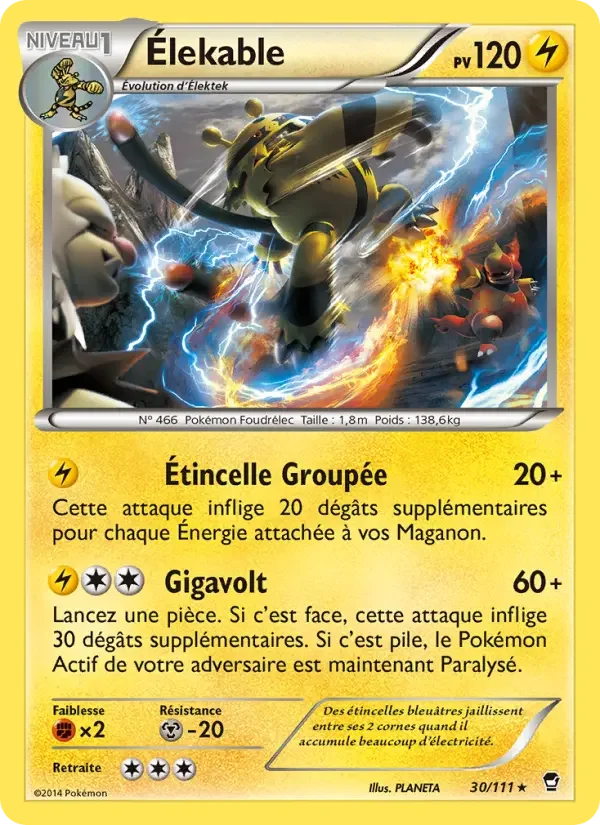 Carte Pokémon Élekable — Poings Furieux