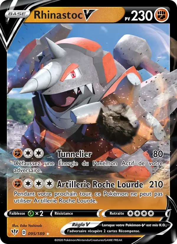 Carte Rhinastoc V