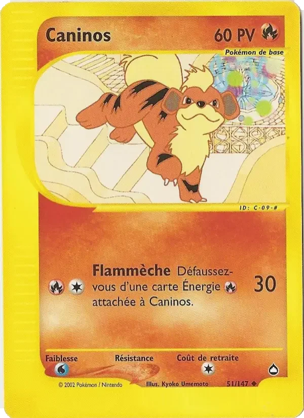 Carte Caninos