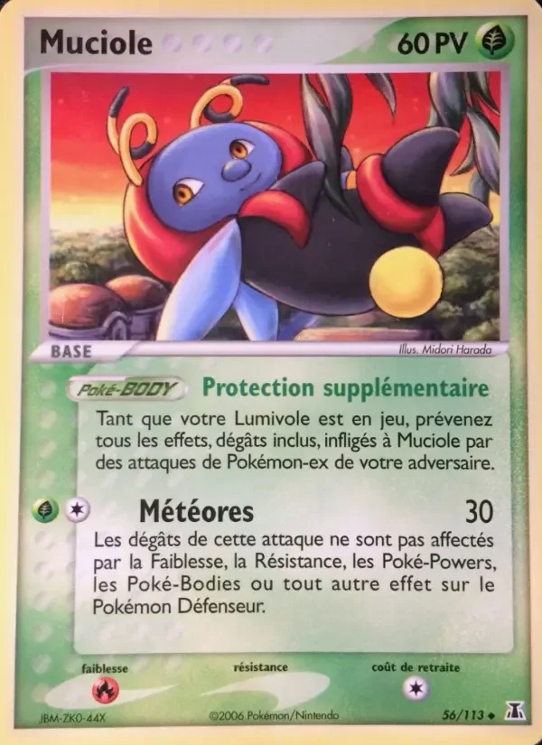Carte Muciole