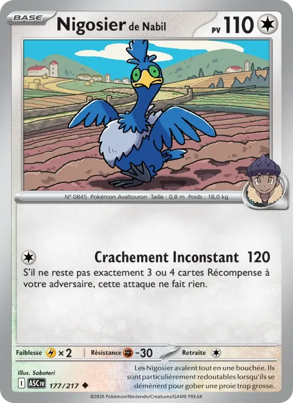 Carte Nigosier de Nabil