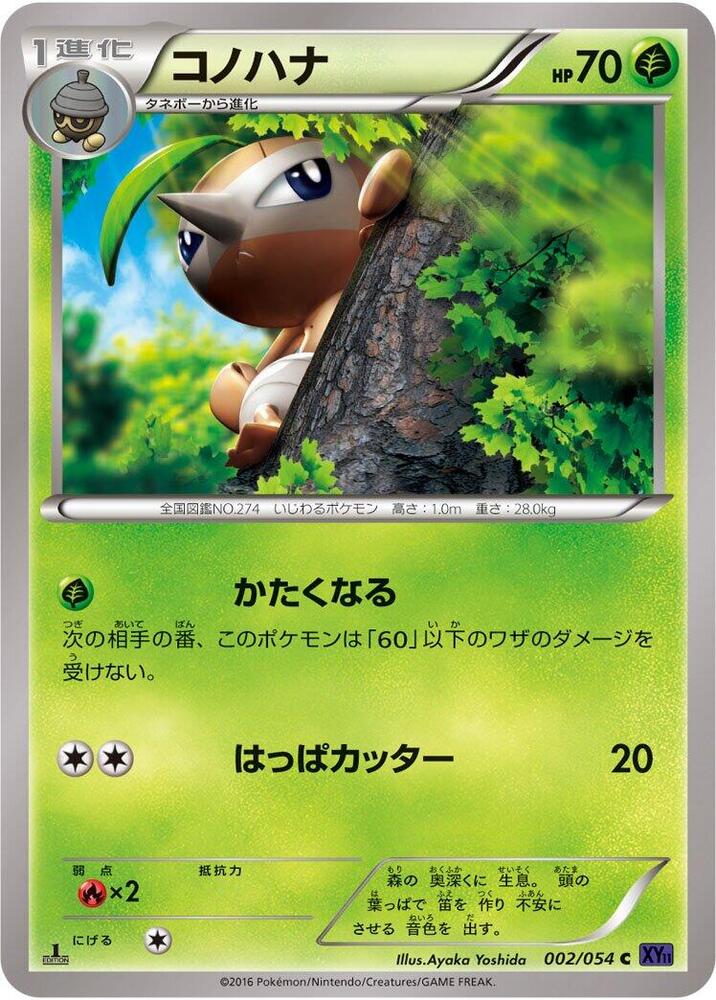 Carte 잎새코