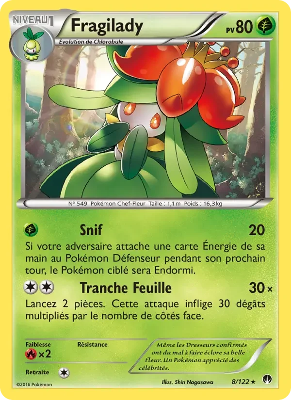 Carte Fragilady