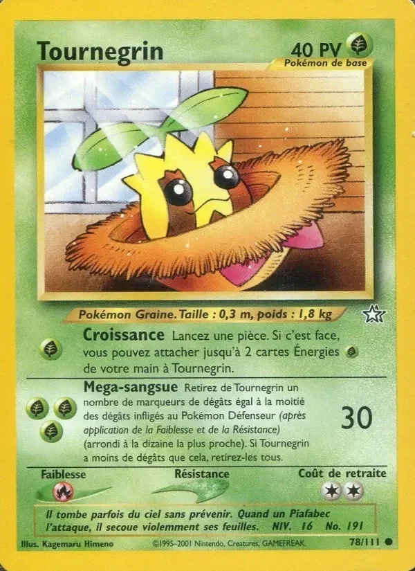 Carte Tournegrin