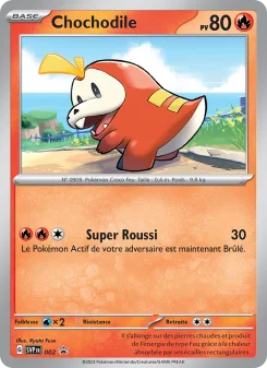 Carte Chochodile