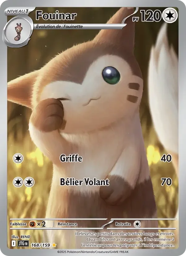 Carte Pokémon Fouinar — Aventures Ensemble