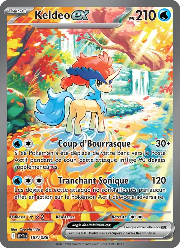 Carte Keldeo-ex