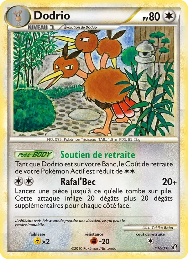 Carte Dodrio