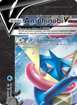 Carte Amphinobi V-UNION