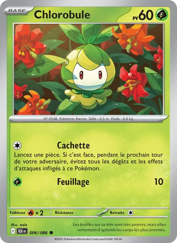 Carte Chlorobule