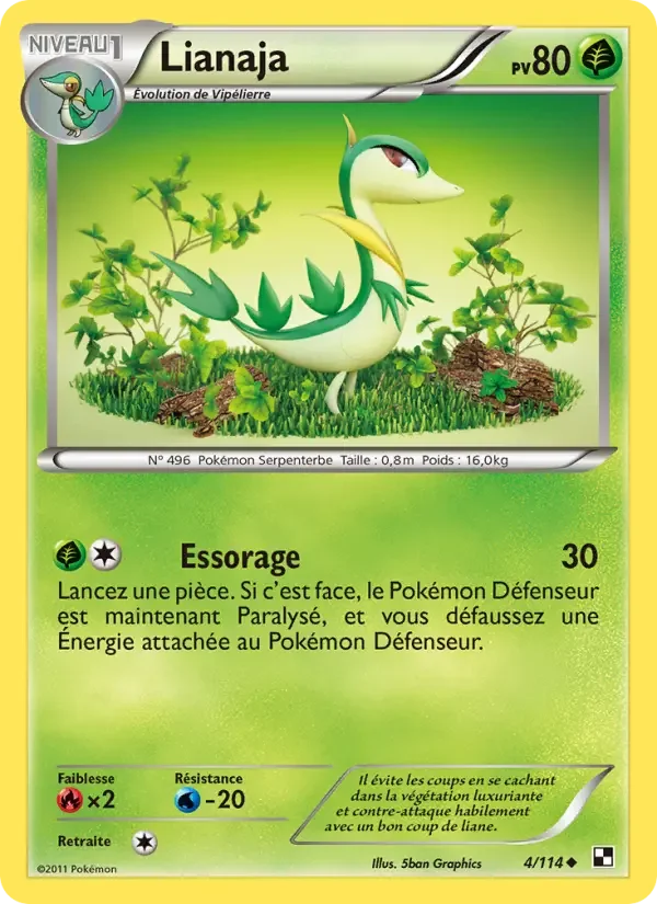 Carte Lianaja