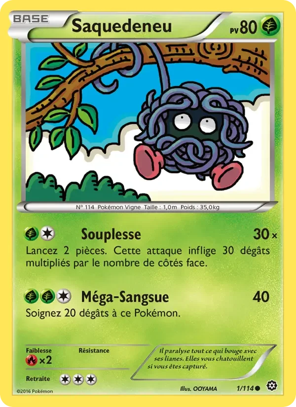 Carte Saquedeneu
