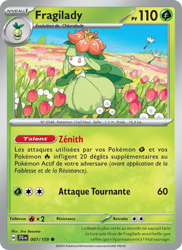 Carte Fragilady