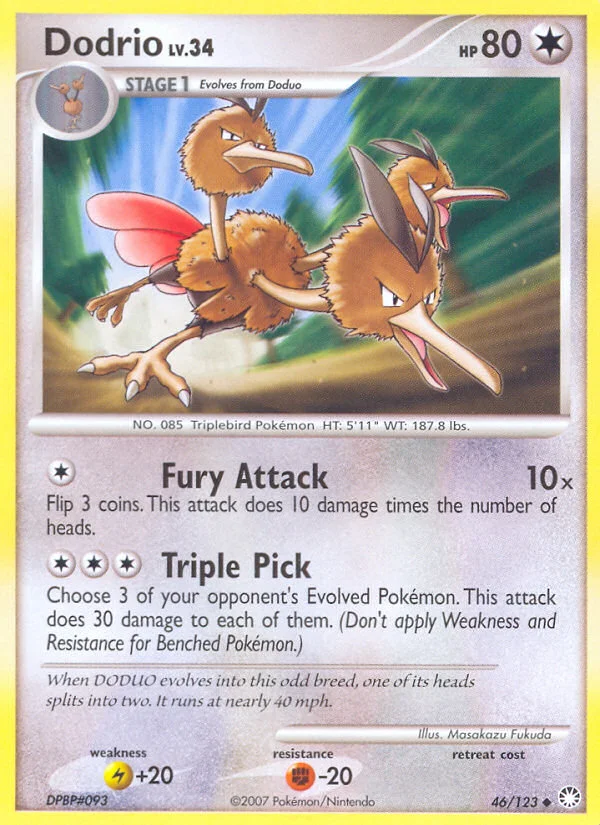 Carte Dodrio