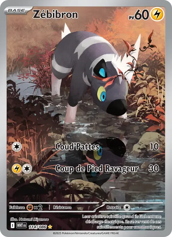 Carte Pokémon Zébibron — Flamme Blanche