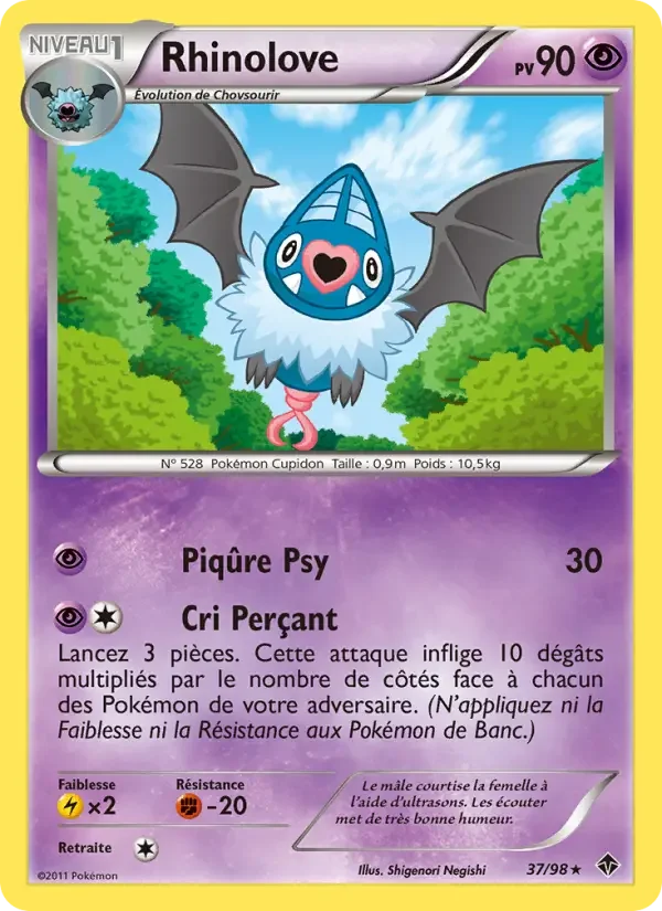 Carte Rhinolove