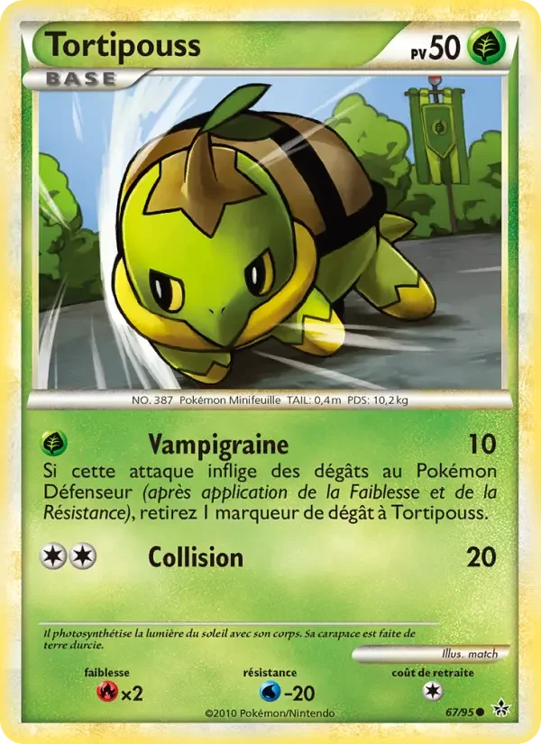 Carte Tortipouss