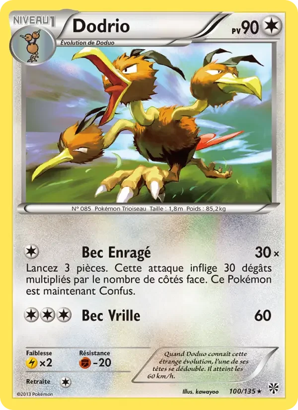 Carte Dodrio