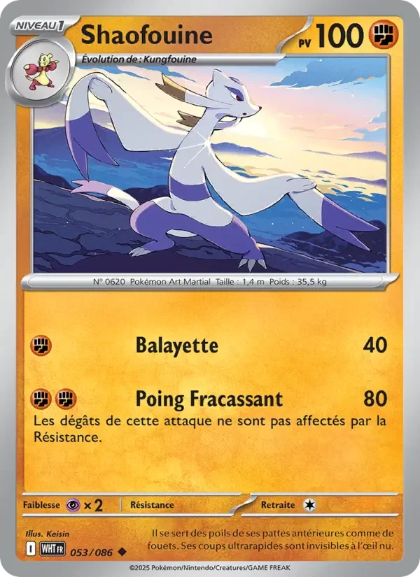 Carte Shaofouine