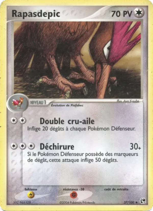 Carte Rapasdepic