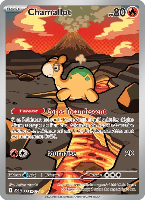 Carte Pokémon Chamallot — Héros Transcendants