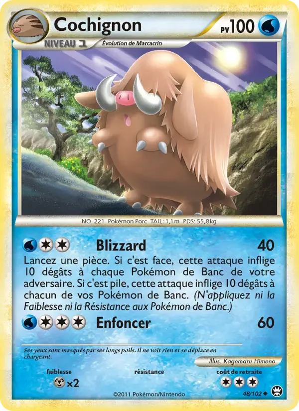 Carte Pokémon Cochignon — Triomphe