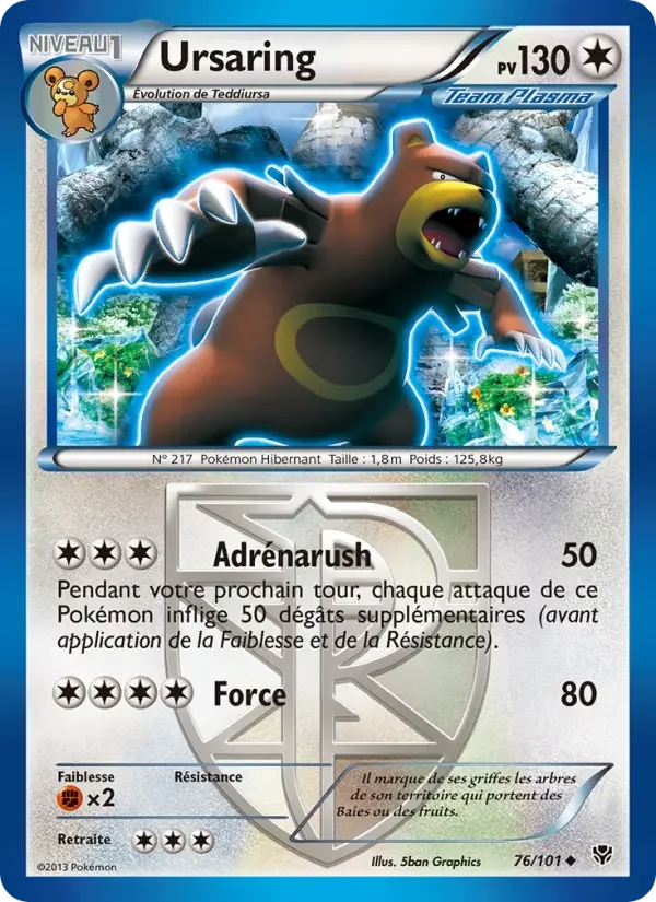Carte Ursaring