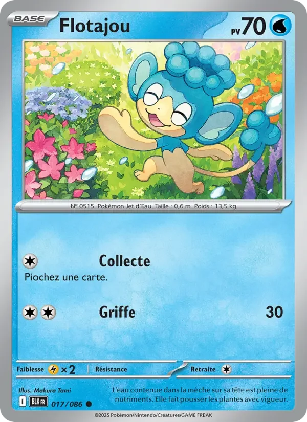 Carte Flotajou