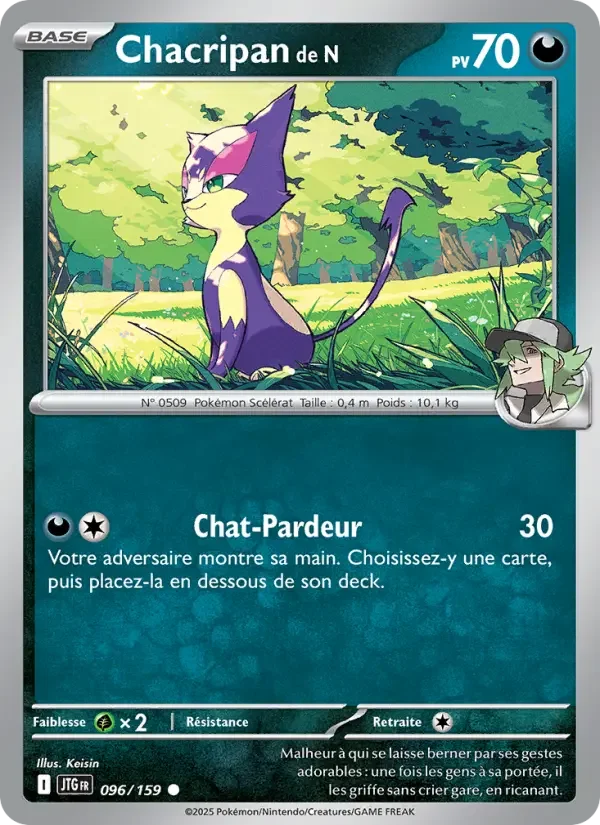 Carte Pokémon Chacripan de N — Aventures Ensemble