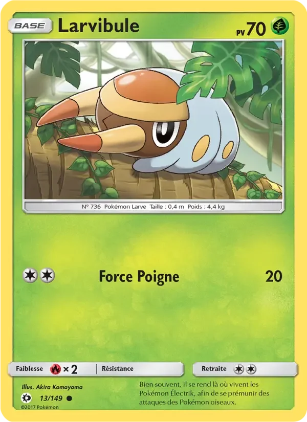 Carte Larvibule